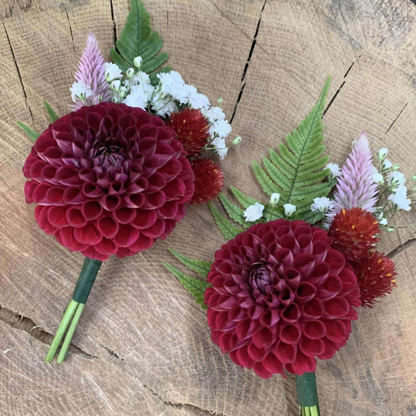 Cornel Bulk Pack (5)